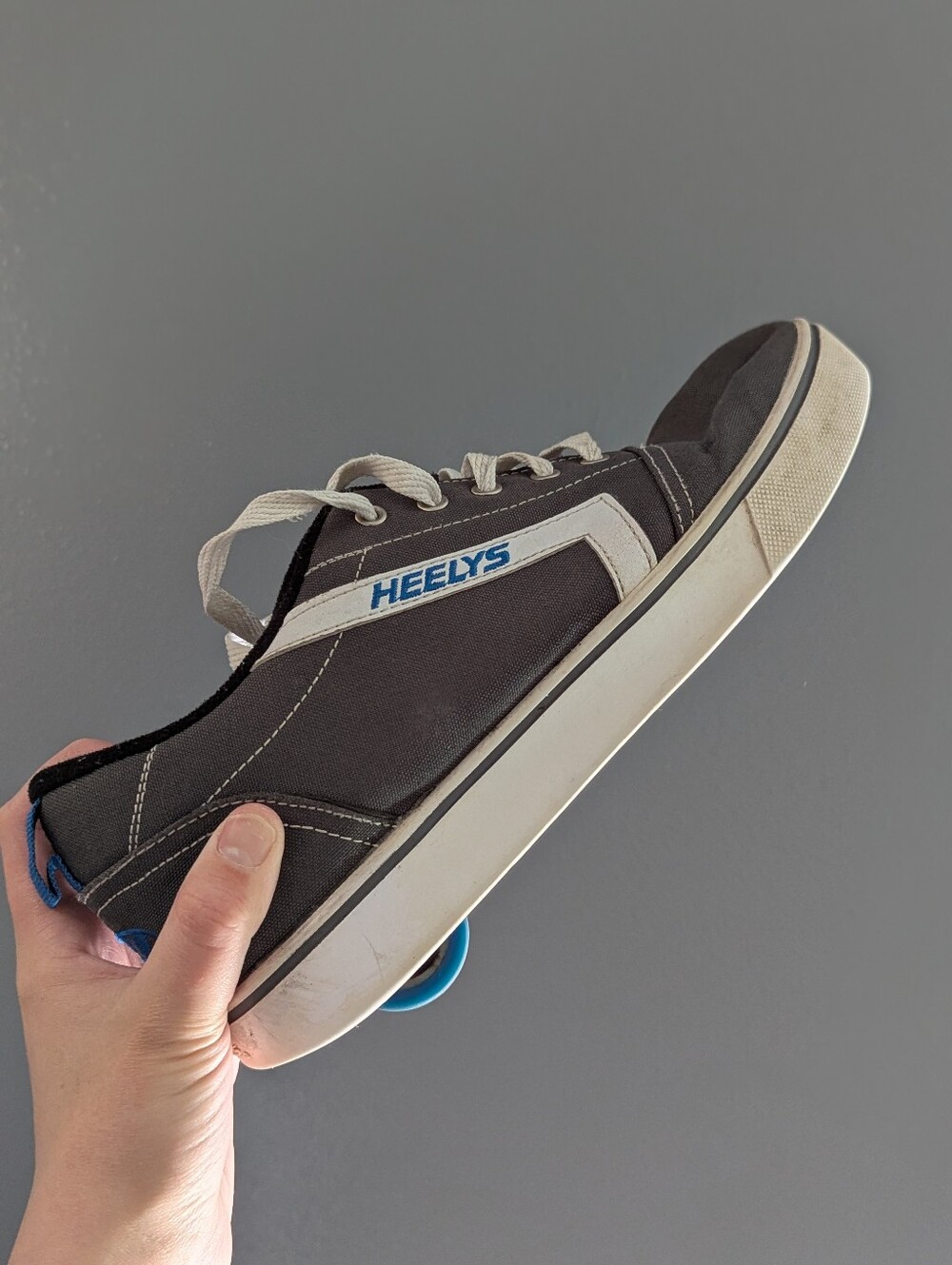 Heelys Men's Grey/White/Royal Skate Shoes